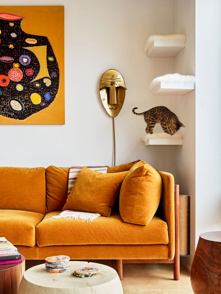 תנו לחיות עם החיות: על עיצוב הבית בשילוב חיות מחמד